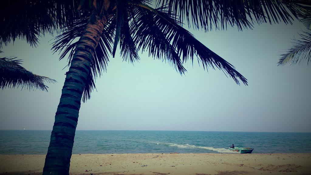 Anicia Beach House Negombo Eksteriør bilde