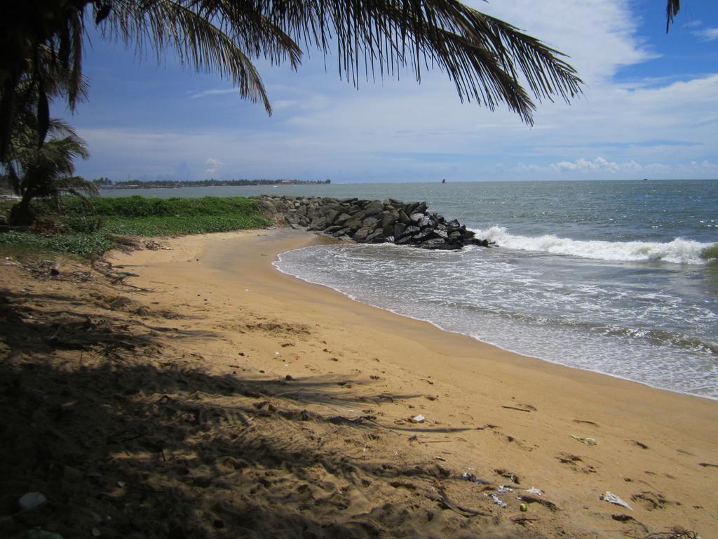 Anicia Beach House Negombo Eksteriør bilde