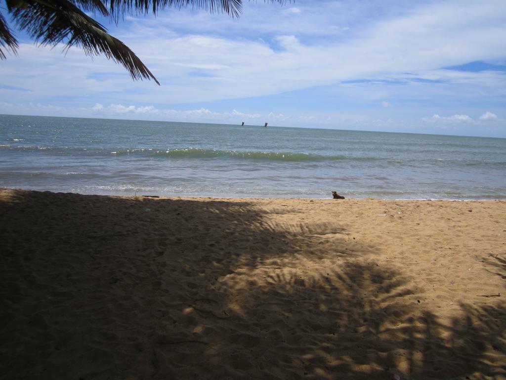 Anicia Beach House Negombo Eksteriør bilde