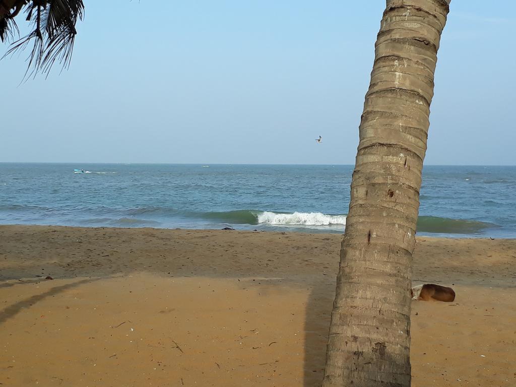 Anicia Beach House Negombo Eksteriør bilde
